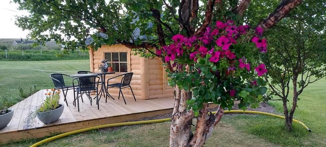 Varjjatgeainu Apartment Nesseby Varangerbotn 外观 照片